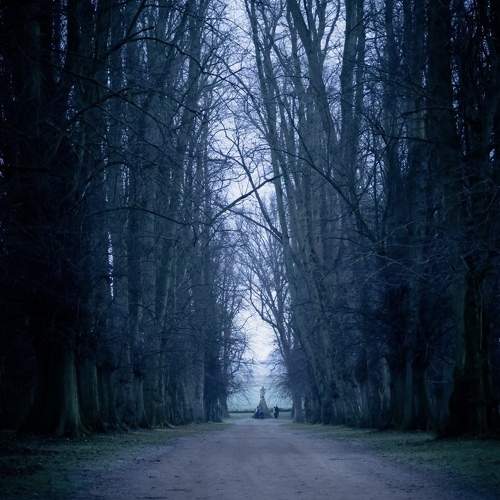 Photo #11216400