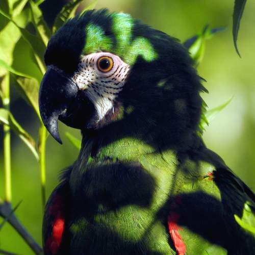 Photo #11216489