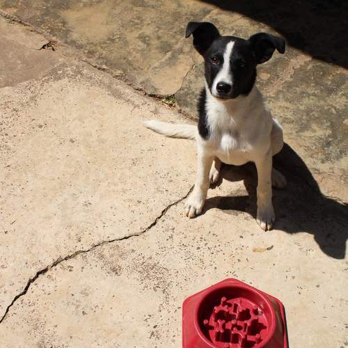 Photo #11216666