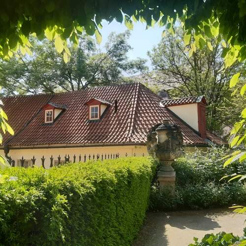 Photo #11216719