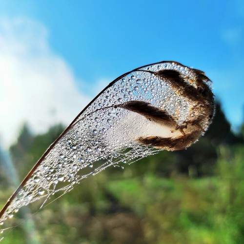 Photo #11216806