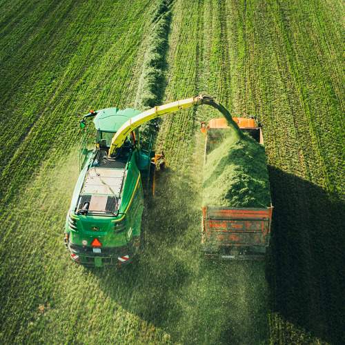 Фотография #11216842