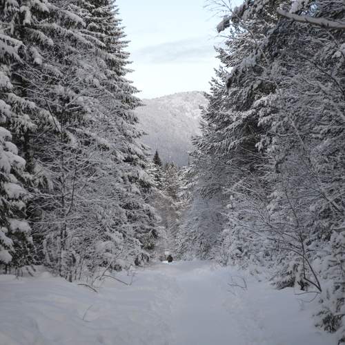 Photo #11216849