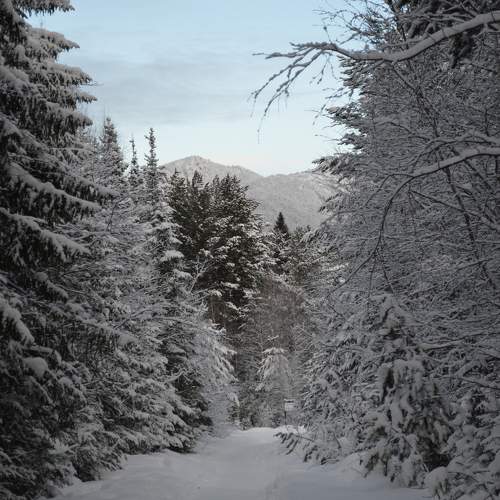 Photo #11216885