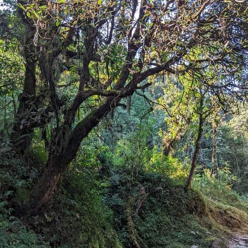 Photo #11216887