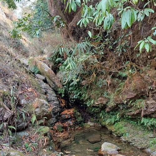 Photo #11216888