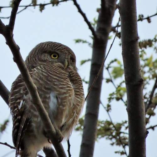 Photo #11216917