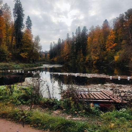 Photo #11217004