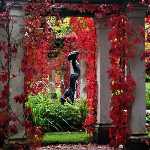 Photo #11217025