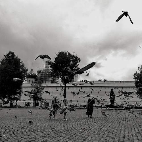 Photo #11217097