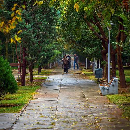Photo #11217110