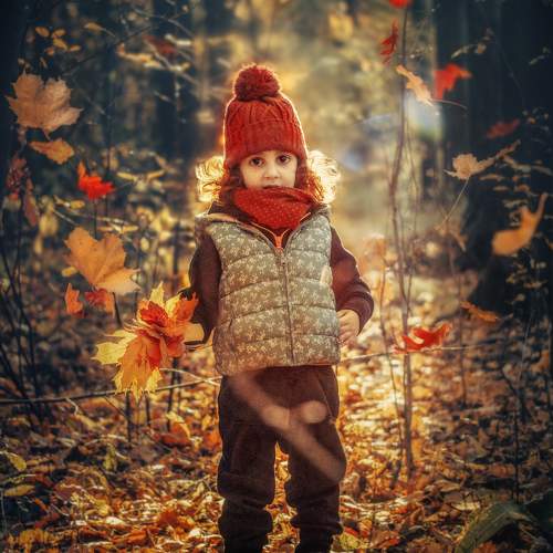 Photo #11217235