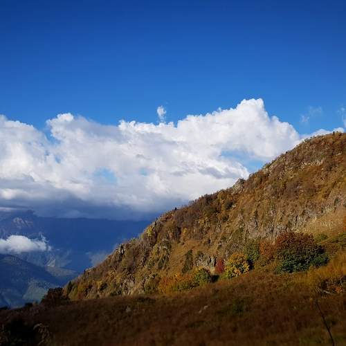 Photo #11217308