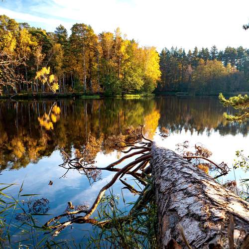 Photo #11217504