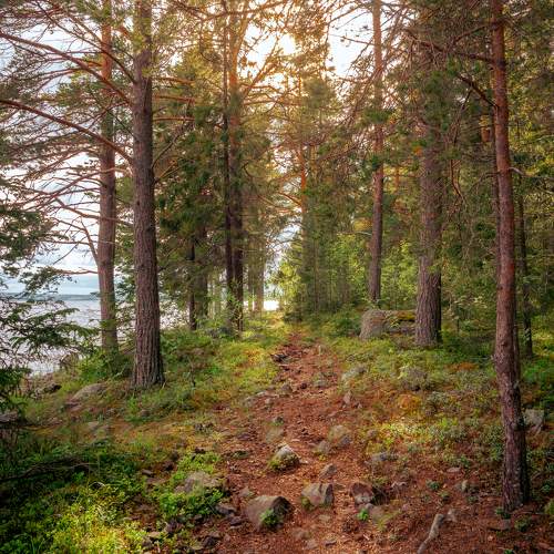 Photo #11217505