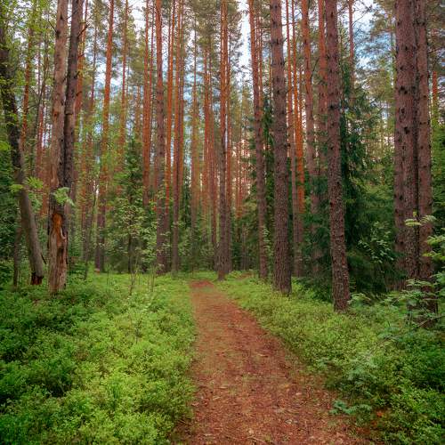 Photo #11217507