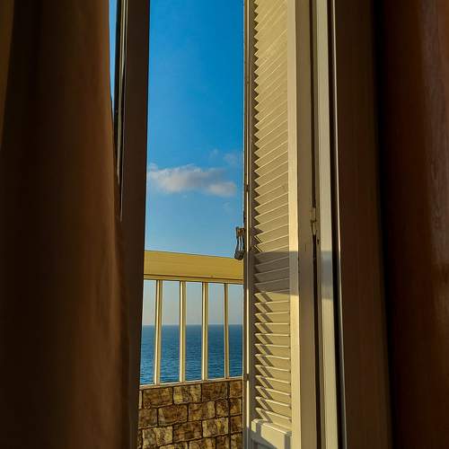 Photo #11217552