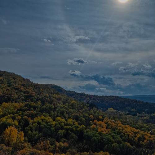 Photo #11217665