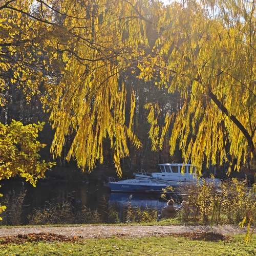 Photo #11217951