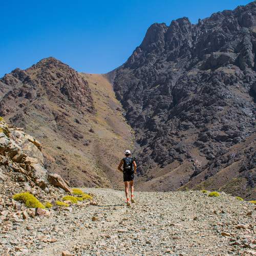 Photo #11217956