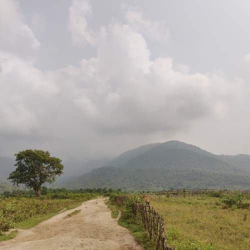 Photo #11217971