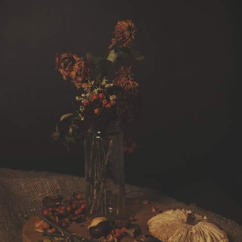 Photo #11217978