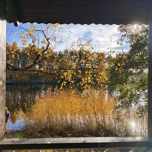 Photo #11218002