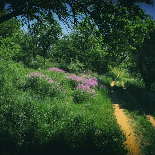 Photo #11218018