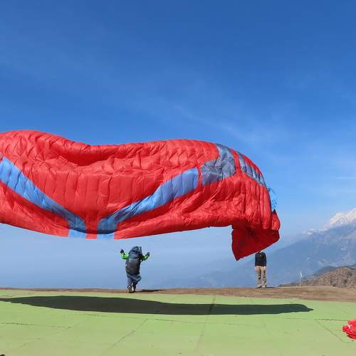 Photo #11218056