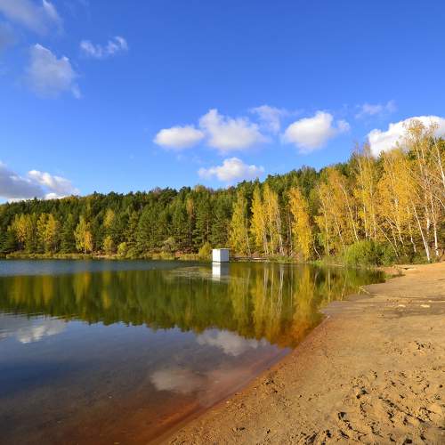 Золотая осень на озере (Лыткарино)