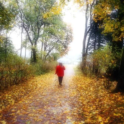 Photo #11218171