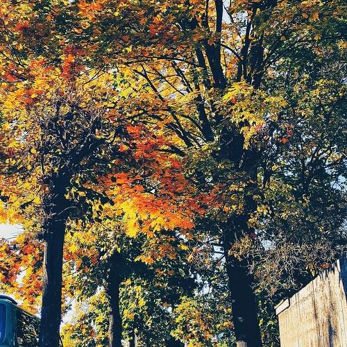 Photo #11218359