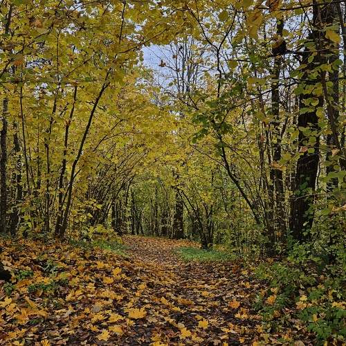 Photo #11218373