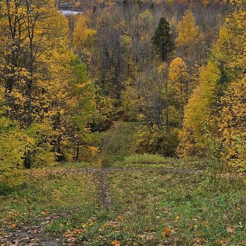 Photo #11218386