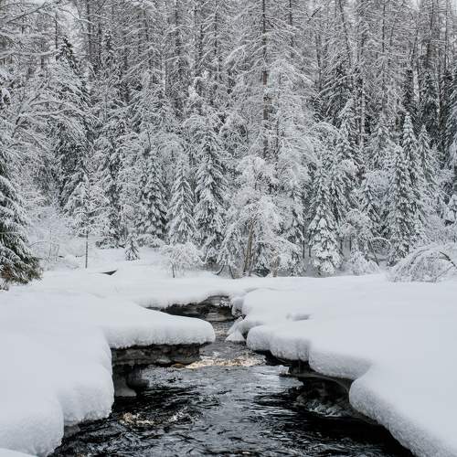 Photo #11218474