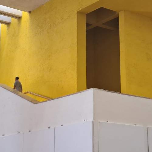 Photo #11218481