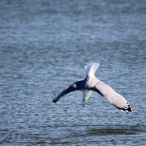Photo #11218502