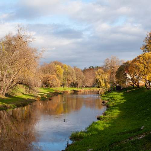 Photo #11218541