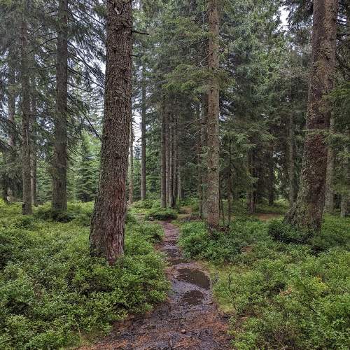 Photo #11218636