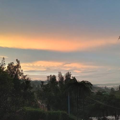 Photo #11218655