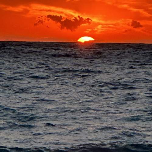 Photo #11218707