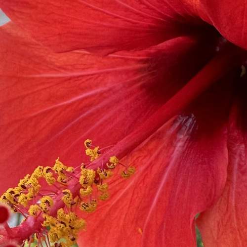 Photo #11218708