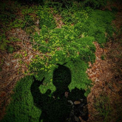 Photo #11218736