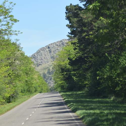 Photo #11218742