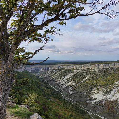 Photo #11219135