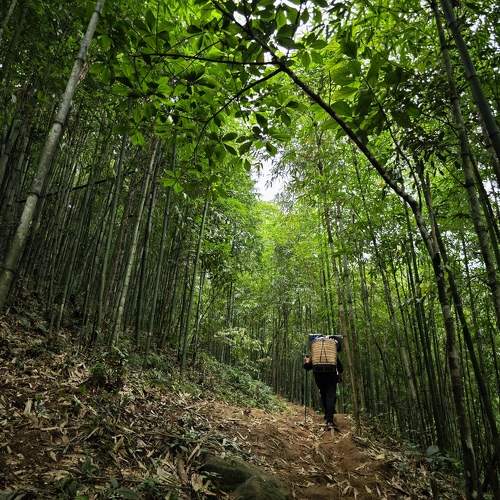 Photo #11219619