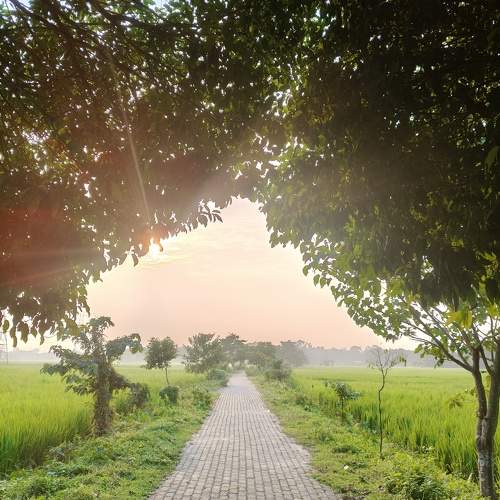 Photo #11219770