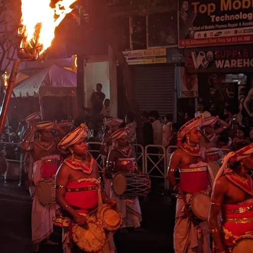 Photo #11219923