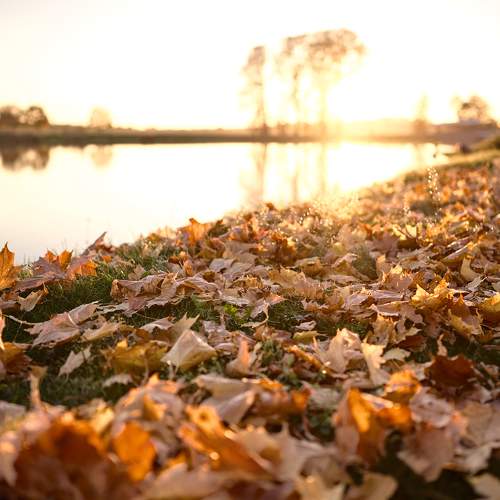 Photo #11219953