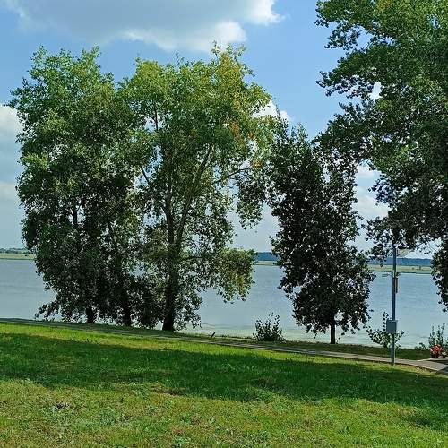 Photo #11219988